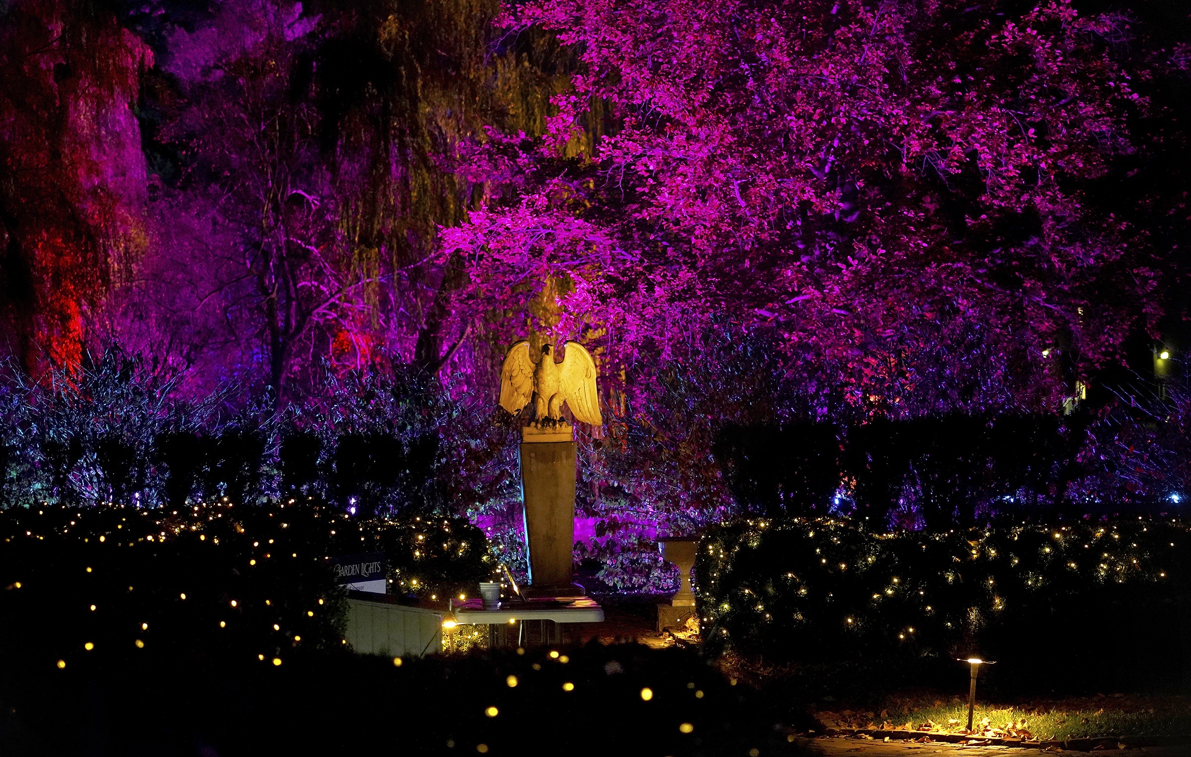 Garden Lights | Museum of the Shenandoah Valley